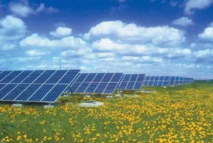 臺(tái)州這幾個(gè)行業(yè)受美國貿(mào)易戰(zhàn)直接沖擊 轉(zhuǎn)戰(zhàn)乎