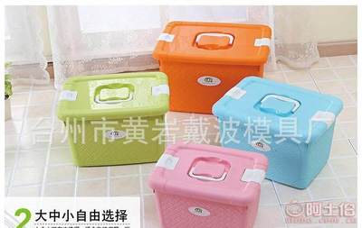 【一諾廠家直銷多彩簡(jiǎn)約有蓋塑料糖果色手提收納箱多功能編織整理箱】臺(tái)州市黃巖戴波模具廠 - 產(chǎn)品庫(kù)
