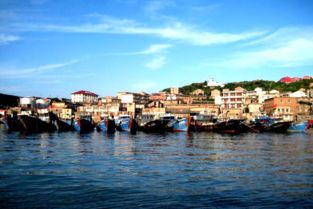 臺州大陳 “漁小二”便民服務(wù)不停步，助力海島生活更便捷